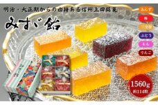 みすゞ飴箱入　特大　銘菓 林檎 ゼリー 和菓子 お菓子 菓子 スイーツ りんご 長野 信州[№5312-1376]