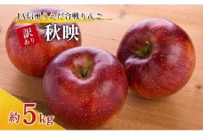 訳あり りんご JA信州うえだ 合戦りんご 秋映 約5kg（10玉～20玉） リンゴ 林檎 果物 くだもの フルーツ 信州 長野 離乳食 訳アリ わけあり 傷[№5312-1382]