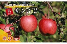 訳あり りんご JA信州うえだ 合戦りんご サンふじ 約5kg（10玉～20玉） リンゴ 林檎 ふじ 果物 くだもの フルーツ 信州 長野 離乳食 訳アリ わけあり 傷[№5312-1383]