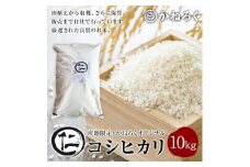 厳選コシヒカリ 仁米 10kg　かねろく お米 こしひかり 白米 長野 上田市 シャリ 10キロ  [№5312-0791]