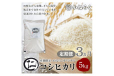 【定期便】厳選コシヒカリ 仁米 3ヶ月連続でお届け！5kg　かねろく お米 こしひかり 白米 長野 上田市 シャリ 5キロ  [№5312-0788]