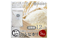 【定期便】厳選コシヒカリ 仁米 12ヶ月連続でお届け！5kg　かねろく お米 こしひかり 白米 長野 上田市 シャリ 5キロ  [№5312-0790]