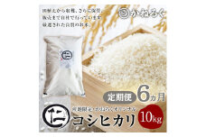 【定期便】厳選コシヒカリ 仁米 6ヶ月連続でお届け！10kg　かねろく お米 こしひかり 白米 長野 上田市 シャリ 10キロ  [№5312-0793]