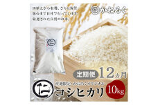 【定期便】厳選コシヒカリ 仁米 12ヶ月連続でお届け！10kg　かねろく お米 こしひかり 白米 長野 上田市 シャリ 10キロ  [№5312-0794]