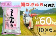 米 定期便 6ヶ月 関口さんちのお米 コシヒカリ 10kg お米 こめ コメ 精米 白米 ご飯 こしひかり 長野 信州 6回 半年 お楽しみ [№5312-0757]