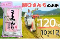 「関口さんちのお米」コシヒカリ10kg 12か月定期便 [№5312-0758]