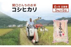 米 定期便 6ヶ月 関口さんちのお米 コシヒカリ 5kg お米 こめ コメ 精米 白米 ご飯 こしひかり 長野 信州 6回 半年 お楽しみ [№5312-0927]