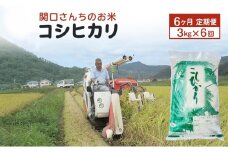 米 定期便 6ヶ月 関口さんちのお米 コシヒカリ 3kg お米 こめ コメ 精米 白米 ご飯 こしひかり 長野 信州 6回 半年 お楽しみ [№5312-0928]