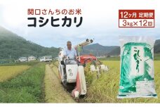 米 定期便 12ヶ月 関口さんちのお米 コシヒカリ 3kg お米 こめ コメ 精米 白米 ご飯 こしひかり 長野 信州 12回 お楽しみ [№5312-0930]
