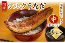 シルクうなぎ蒲焼真空パック 中（105ｇ以上）×3パック【うなぎ 国産 3尾 うなぎ蒲焼 ギフト 冷凍 鰻 ウナギ 蒲焼 蒲焼き うなぎの蒲焼き やなのうなぎ 観光荘】