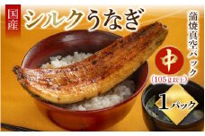 シルクうなぎ蒲焼真空パック 中（105ｇ以上）×１パック【うなぎ 国産 1尾 うなぎ蒲焼 ギフト 冷凍 鰻 ウナギ 蒲焼 蒲焼き うなぎの蒲焼き やなのうなぎ 観光荘】