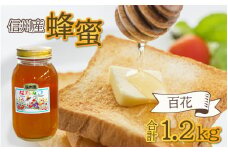 はちみつ 国産 百花 1.2kg  ｜  信州産 大容量 1kg 以上 百花蜜 ハチミツ 蜂蜜 純粋はちみつ 蜂蜜1kg