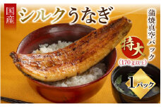 シルクうなぎ蒲焼真空パック 特大（170ｇ以上）× １パック【うなぎ 国産 1尾 うなぎ蒲焼 ギフト 冷凍 鰻 ウナギ 蒲焼 蒲焼き うなぎの蒲焼き やなのうなぎ 観光荘】