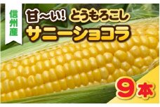 【先行予約】夏の定番　甘ーいとうもろこし　サニーショコラ　9本セット【2025年8月より収穫出来次第発送】【 信州産 とうもろこし トウモロコシ コーン 夏野菜 新鮮 甘い 高糖度 】