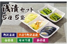 【漬物セット】浅漬セット 5種5袋　漬物詰め合わせ
