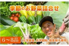 季節のお野菜6～8種セット | 野菜の詰め合わせ 野菜セット セット商品 旬 新鮮 産地直送 とうもろこし レタス キャベツ 人参 小松菜 ナス なす ジャガイモ じゃがいも トマト ズッキーニ ししとう 大根 白菜 里芋 さといも ニンニク にんにく 野沢菜 サツマイモ さつまいも 長ネギ 長ねぎ ブロッコリー チンゲン菜 きゅうり ピーマン 玉ねぎ ほうれん草 春野菜 夏野菜 秋野菜 冬野菜