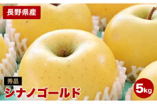 ジューシー な 黄金色 りんご シナノゴールド 約5kg 秀品 〈2025年10月下旬～11月下旬発送〉| 果物 くだもの フルーツ りんご 黄金食りんご シナノゴールド 長野県 信州 南信州 飯田市
