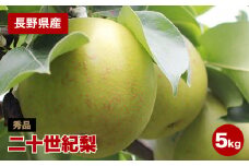 滴る程にジューシー 長野県産 なし 二十世紀 約5kg 秀品 〈2025年9月上旬～9月末発送〉 | 果物 くだもの フルーツ 梨 なし 二十世紀梨 長野県 信州 南信州 飯田市