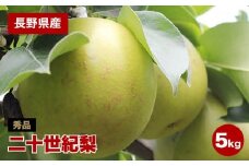 滴る程にジューシー 長野県産 なし 二十世紀 約5kg 秀品 〈2025年9月上旬～9月末発送〉 | 果物 くだもの フルーツ 梨 なし 二十世紀梨 長野県 信州 南信州 飯田市