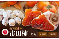 信州の特産品「市田柿」ご家庭用 500g 〈2026年1月上旬～2月下旬発送〉 | 果物 くだもの フルーツ 柿 かき 市田柿 長野県 信州 南信州 飯田市