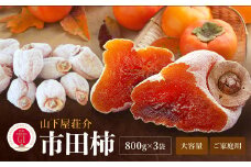 信州 の 特産品 市田柿 ご家庭用 800g × 3袋 セット 〈2026年1月上旬～2月下旬発送〉 | 果物 くだもの フルーツ 柿 かき 市田柿 長野県 信州 南信州 飯田市