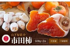 信州 の 特産品 市田柿 ご家庭用 500g × 2袋  ＜2026年1月上旬～2月下旬発送＞ | 果物 くだもの フルーツ 柿 かき 市田柿 長野県 信州 南信州 飯田市