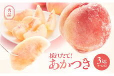 長野県産 桃 (あかつき) 約3kg 秀品〈2025年7月下旬～8月下旬発送〉| 桃 もも モモ あかつき 長野県 産地直送 くだもの 果物 フルーツ デザート 送料無料 長野県 飯田市