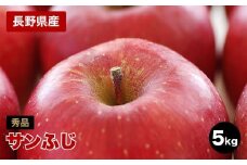 太陽の光をたっぷりと浴びた 長野県産 りんご サンふじ 約5kg 秀品 ＜2025年11月下旬～12月中旬発送＞ | 果物 くだもの フルーツ りんご リンゴ 林檎 長野県 信州 南信州 飯田市