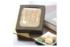信州 の 特産品 市田柿 贈答用 化粧箱 500g 〈2026年1月上旬～1月末発送〉| 果物 くだもの フルーツ 柿 市田柿 干し柿 贈答用 長野県 信州 南信州 飯田市