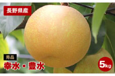 長野県産 溢れる果汁 ジューシーな 梨 ( 幸水 ・ 豊水 ) 約5kg 秀品 〈2025年8月下旬～9月下旬発送〉| 果物 くだもの フルーツ 梨 なし 幸水 豊水 長野県 信州 南信州 飯田市