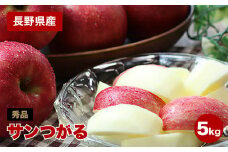 りんご の 一番手! 長野県産 りんご サンつがる 約5kg 秀品 〈2025年9月上旬～9月中旬発送〉| 果物 くだもの フルーツ りんご 林檎 リンゴ 長野県 信州 南信州 飯田市