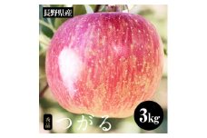長野県産 早生 りんご サンつがる 約3kg 秀品 〈2025年9月上旬～9月中旬発送〉| 果物 くだもの フルーツ りんご リンゴ 林檎 つがる 長野県 信州 南信州 飯田市