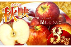 芳醇な香り 長野県産 深紅色 りんご 秋映 約3kg 秀品 〈2025年9月下旬～10月中旬発送〉| 果物 くだもの フルーツ りんご リンゴ 林檎 長野県 信州 南信州 飯田市