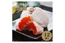 信州 特産品 市田柿 極 贈答用 2Lサイズ 12個入 〈2026年1月上旬～2月下旬発送〉| 果物 くだもの フルーツ 柿 干し柿 かき 長野県 信州 南信州 飯田市