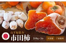 長野県産 ご家庭用 市田柿 300g × 3袋 ＜2026年1月上旬～2月下旬発送＞ | 果物 くだもの フルーツ 柿 かき 市田柿 干し柿 長野県 信州 南信州 飯田市