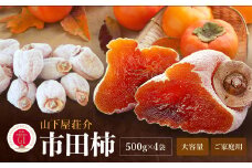 長野県産 ご家庭用 市田柿 500g × 4袋 ＜2026年1月上旬～2月下旬発送＞ | 果物 くだもの フルーツ 柿 かき 市田柿 長野県 信州 南信州 飯田市