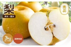 溢れる果汁 ジューシー な 梨 幸水 ・ 豊水 約3kg 秀品 〈2025年8月下旬～9月下旬発送〉| 果物 くだもの フルーツ 梨 和梨 幸水 豊水 長野県 信州 南信州 飯田市