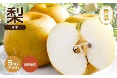 ジューシー で 甘い 梨 ! 長野県産 なし 南水 約5kg 秀品 〈2025年9月中旬～10月中旬発送〉 | 果物 くだもの フルーツ 梨 なし 南水 長野県 信州 南信州 飯田市