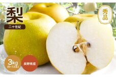 滴る程に ジューシー な 梨 長野県産 なし 二十世紀 約3kg 秀品 〈2025年9月上旬～9月末発送〉| 果物 くだもの フルーツ なし 梨 二十世紀 長野県 信州 南信州 飯田市