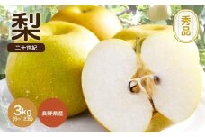滴る程に ジューシー な 梨 長野県産 なし 二十世紀 約3kg 秀品 〈2025年9月上旬～9月末発送〉| 果物 くだもの フルーツ なし 梨 二十世紀 長野県 信州 南信州 飯田市