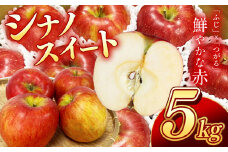 南信州産 シナノスイート 約5kg ＜2025年10月中旬～順次発送＞ ＪＡみなみ信州ＤＭセンター | シナノスイート りんご 林檎 アップル 果物 フルーツ 甘い ふるさと納税 長野県 飯田市