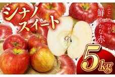 南信州産 シナノスイート 約5kg ＜2025年10月中旬～順次発送＞ ＪＡみなみ信州ＤＭセンター | シナノスイート りんご 林檎 アップル 果物 フルーツ 甘い ふるさと納税 長野県 飯田市