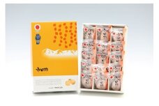 市田柿 大粒 15粒 化粧箱 個包装 約420g ＪＡみなみ信州ＤＭセンター飯田市 | 柿 かき 干し柿 干しがき 市田柿 信州 ドライフルーツ 果物 フルーツ くだもの 和菓子 送料無料 ふるさと納税 長野県 飯田市