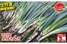 【南信州産】土付きねぎ　3kg(600g×5袋) ＪＡみなみ信州ＤＭセンター飯田市 | 土付きねぎ ねぎ ネギ 野菜 南信州 新鮮 送料無料 ふるさと納税 長野県 飯田市