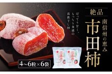 いつもの 市田柿 トレー 170g × 6袋 セット ＪＡみなみ信州ＤＭセンター飯田市 | 柿 かき 干し柿 市田柿 長野県 信州 国産 特産品 ドライフルーツ 甘い 果物 フルーツ お菓子 和菓子 南信州 送料無料 ふるさと納税 長野県 飯田市