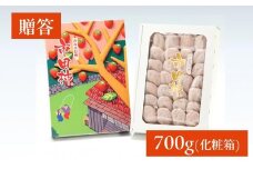 年内発送 市田柿 化粧箱 約700g 20～28粒 ＪＡみなみ信州ＤＭセンター飯田市 | 柿 かき 干し柿 干しがき 市田柿 長野県 信州 国産 ドライフルーツ 甘い 果物 フルーツ 南信州 送料無料 ふるさと納税 長野県 飯田市