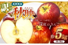 南信州産 秋映 訳あり 約5kg 10～18玉 ＪＡみなみ信州ＤＭセンター飯田市 | 秋映 りんご 林檎 アップル 千秋 つがる 果物 フルーツ 南信州 送料無料 ふるさと納税 長野県 飯田市