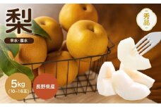 南信州産 幸水 または 豊水 秀品 約5kg 10～16玉 ＪＡみなみ信州ＤＭセンター飯田 | 幸水 豊水 梨 なし ナシ 果物 フルーツ ジューシー 信州 南信州 送料無料 ふるさと納税 長野県 飯田市
