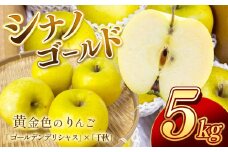 南信州産 シナノゴールド 約5kg 10～18玉 秀品 ＪＡみなみ信州ＤＭセンター飯田市 ｜ フルーツ 果物 りんご 林檎 シナノゴールド 黄色いりんご 長野県 飯田市