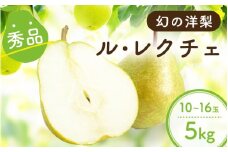南信州産 ル・レクチェ 洋梨 約5kg 秀品 10～16玉 | ル・レクチェ 洋ナシ 洋梨 洋なし 梨 果物 フルーツ ふるさと納税 長野県 飯田市